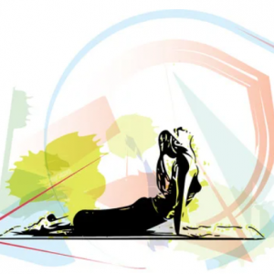 FitFlexPlus